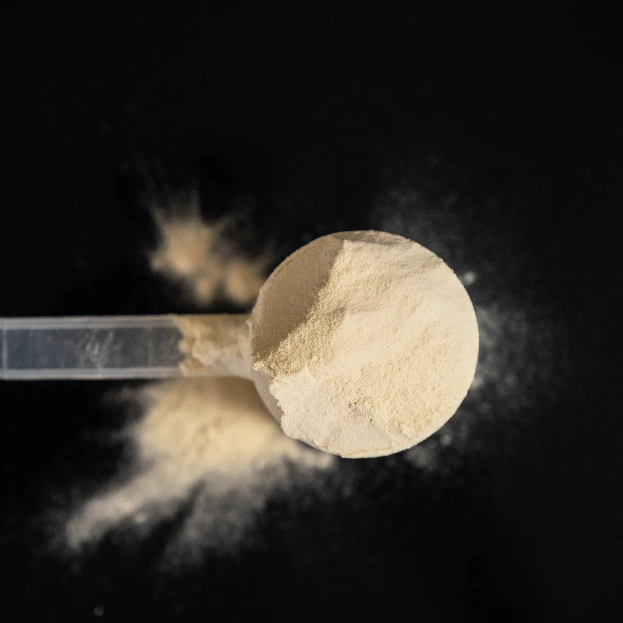 RECOVERY™ Protein Powder | Vanilla - Image 3